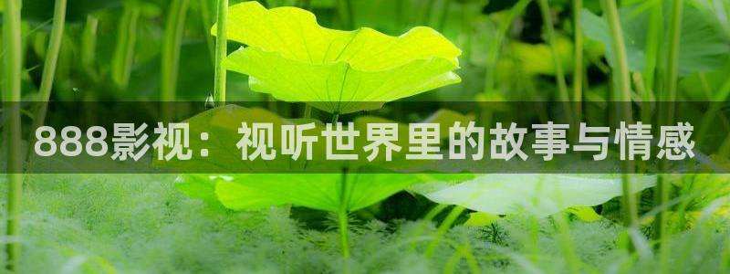 那片星空那片海电视剧