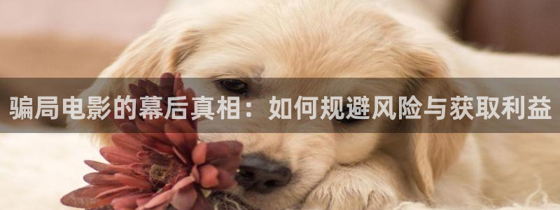 星空电影在线观看播放免费