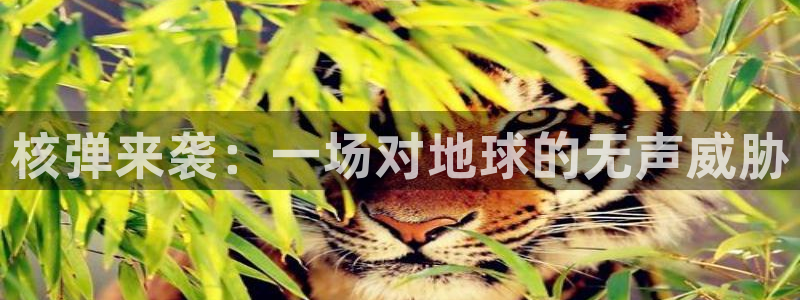 星空电影完整版视频