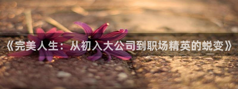 星空高清免费观看完整电影