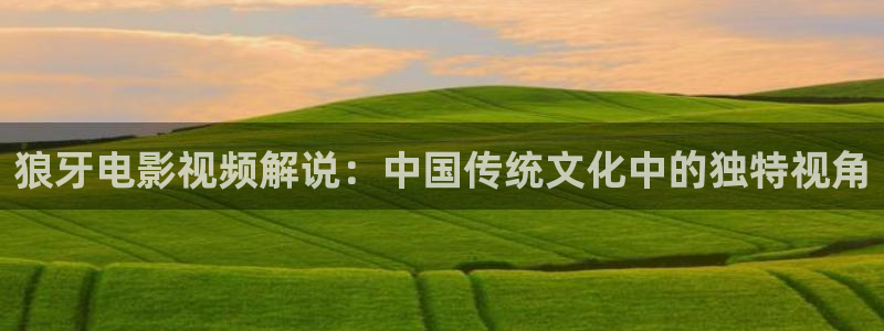 星空传媒播放