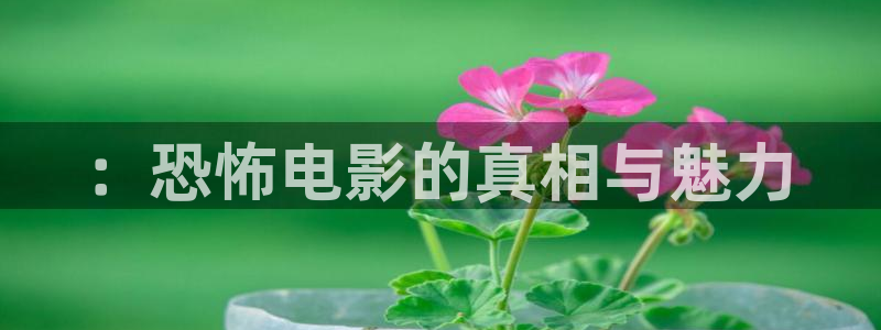 星空影院免费观看电视剧电影2024年