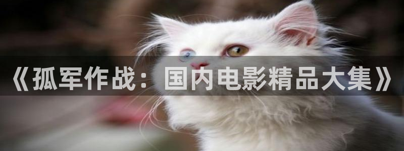 星空影视观看