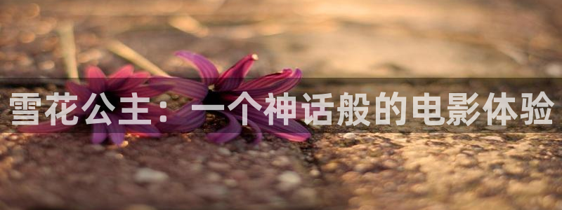 星空影视 在线