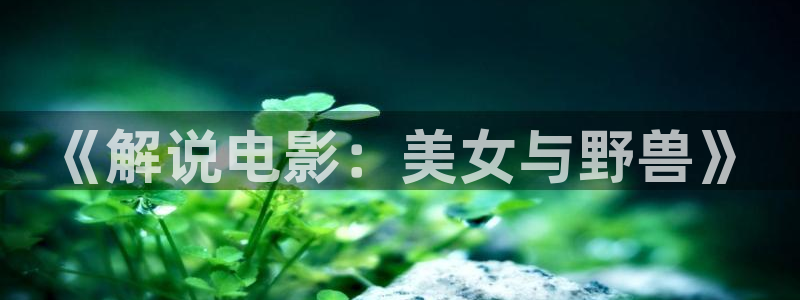星空传媒在线观看高清