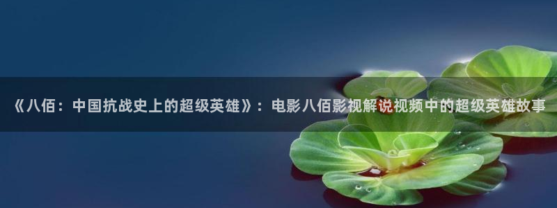 风车动漫动漫星空