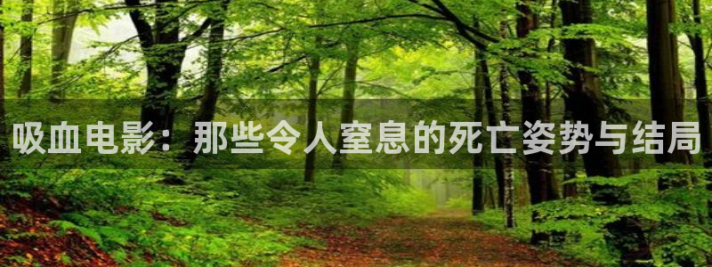 星空影视 在线播放