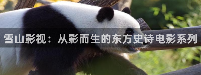 星空无限传媒电视剧在线观看策驰影院