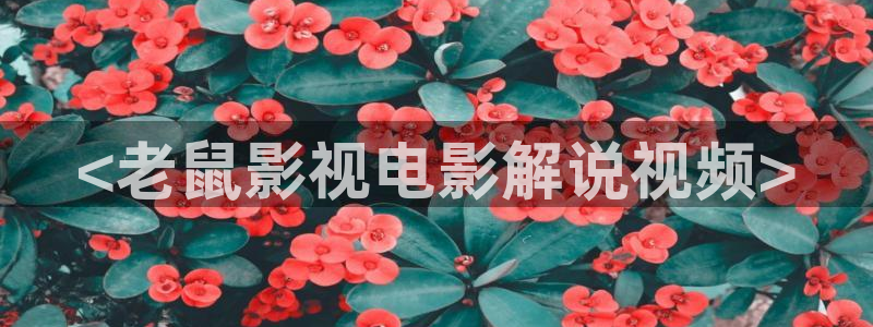 星空影院动漫高清免费观看