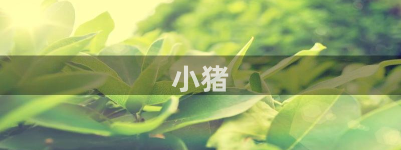 星空视频影视大全免费