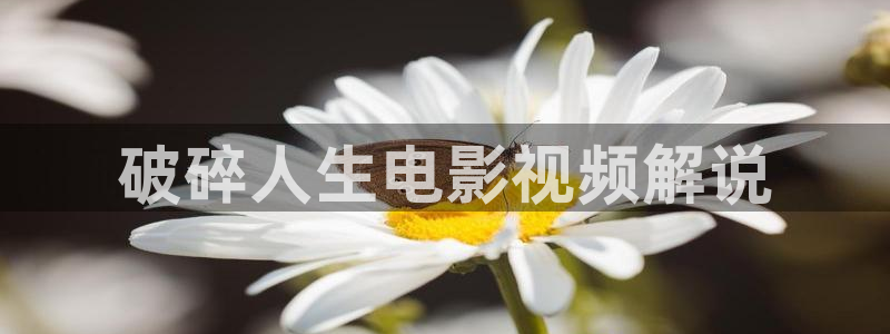 星空免费观看高清完整视频大全