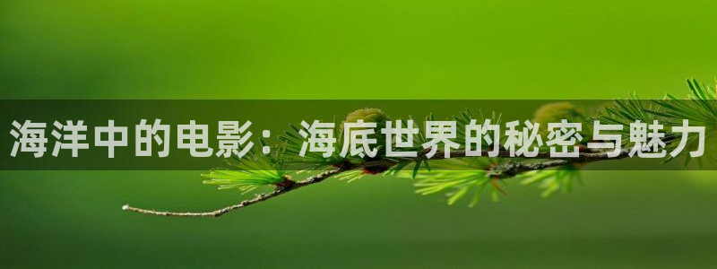 星空影视大全免费观看高清