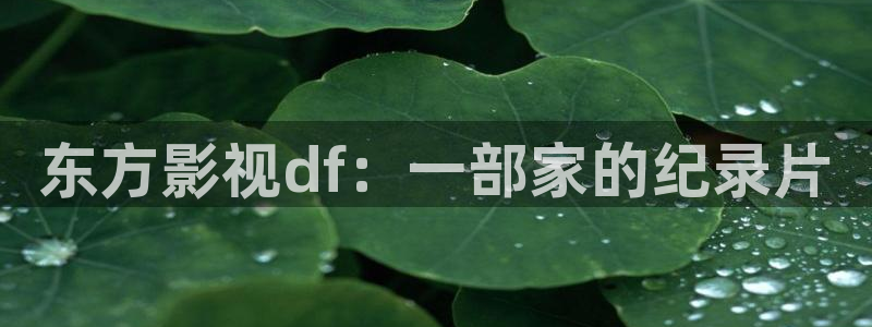 星空影院今日影讯