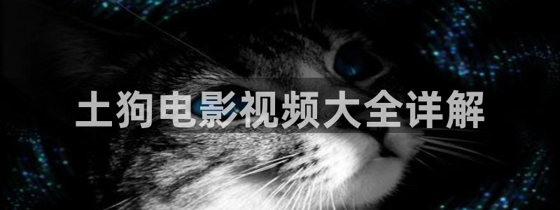 星空影院 伦理片