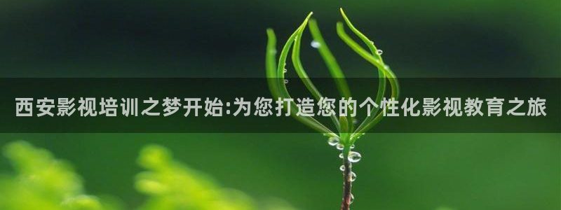 电视剧那片星空那片海2