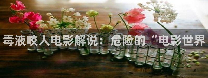 星空影视大全免费观看高清