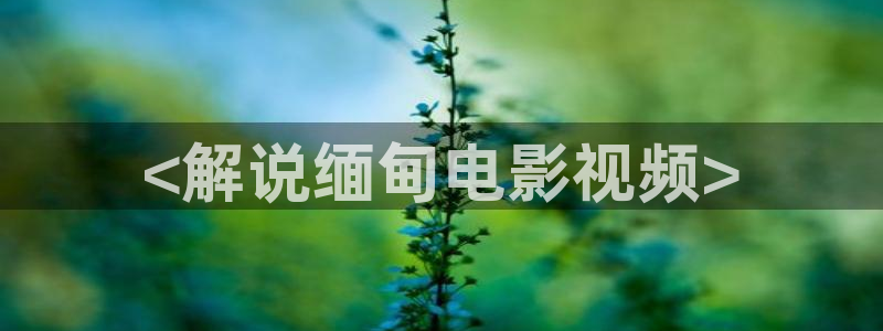 大丈夫高清免费观看星空