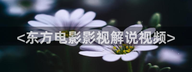 星空的照片