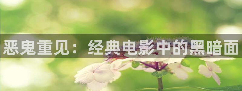 星空影院免费播放的电视剧