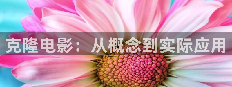 那片星空那片海2电视剧